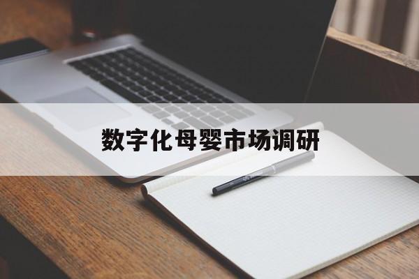 成都市数字化母婴市场调研(数字化母婴市场调研报告)